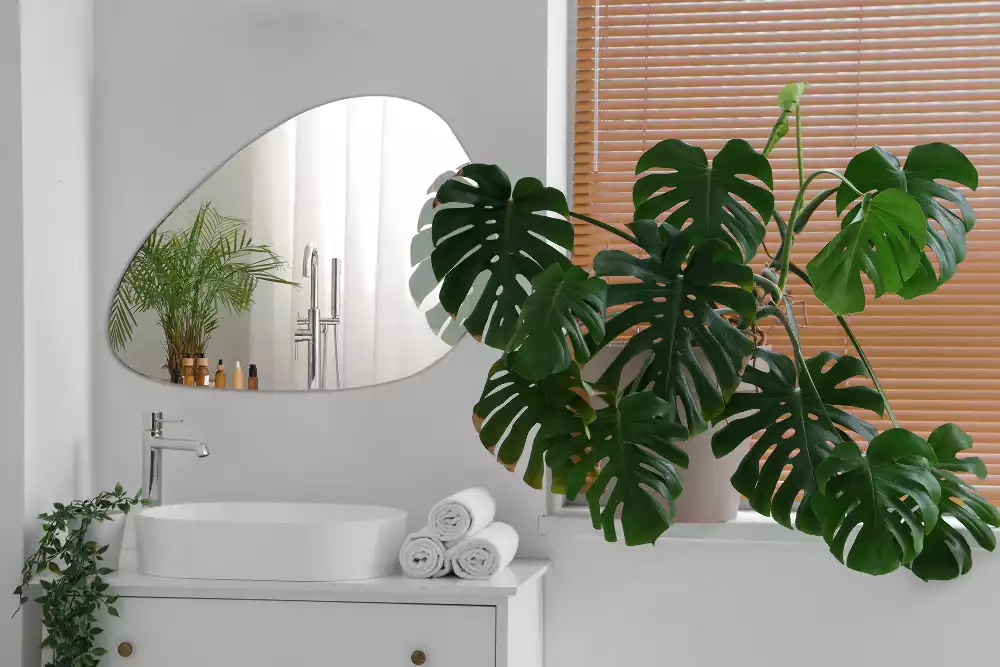 Oglindă decorativă suspendată cu formă organică