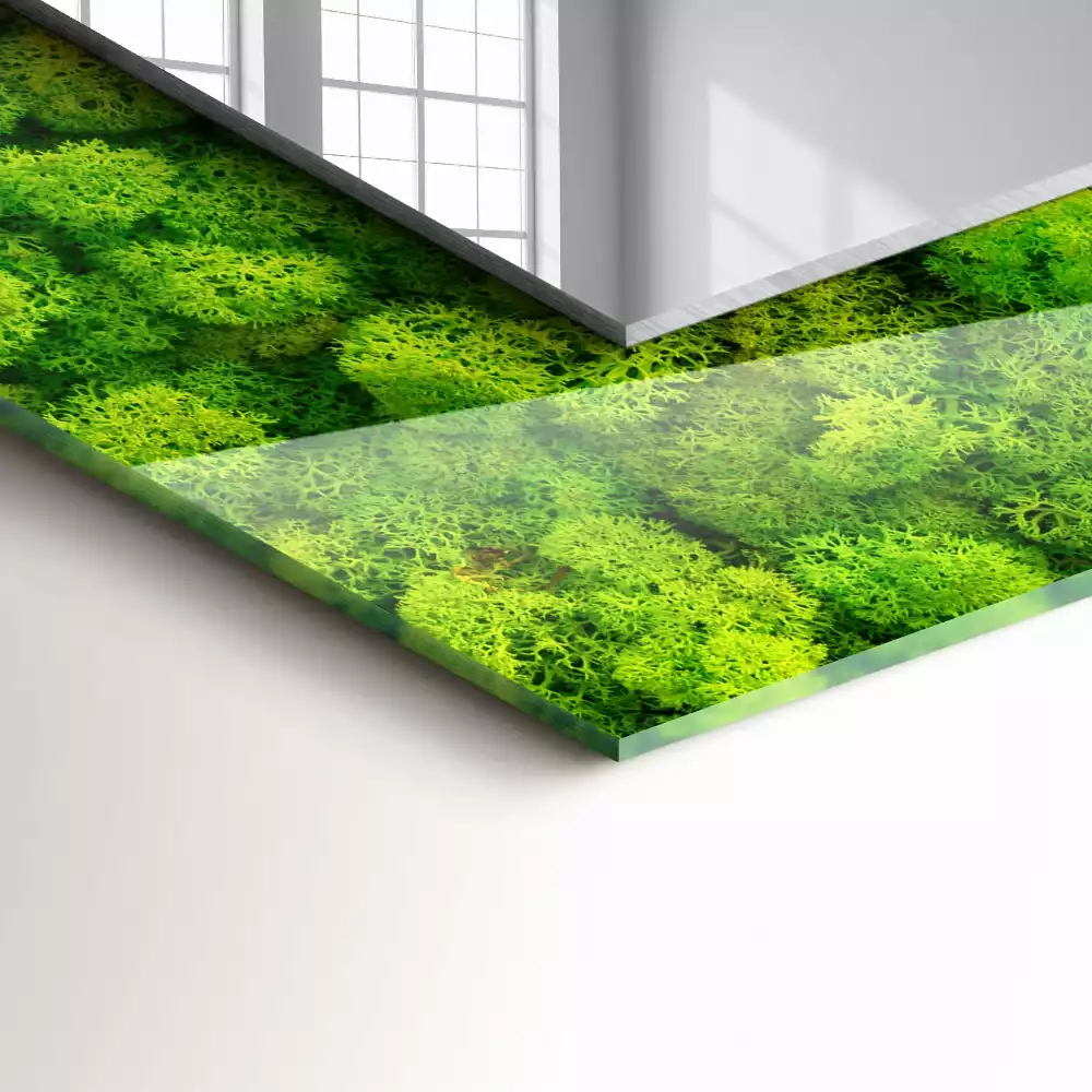 Oglindă dreptunghiulară cu decor din mușchi verde