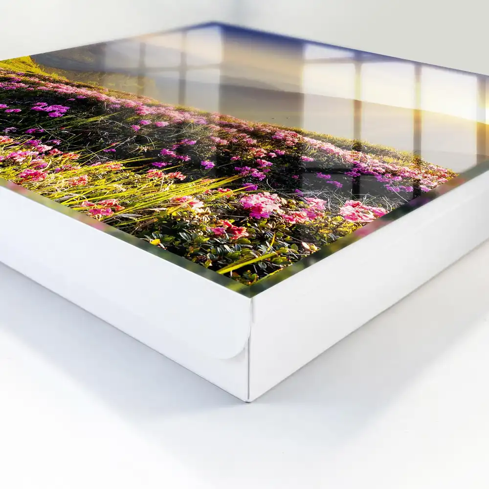 Casetă pentru chei cu design montan și flori roz la răsărit