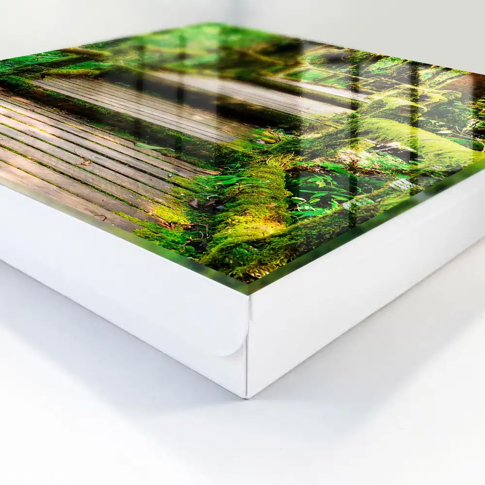 Dulapior pentru chei cu design de pod de lemn și pădure verde