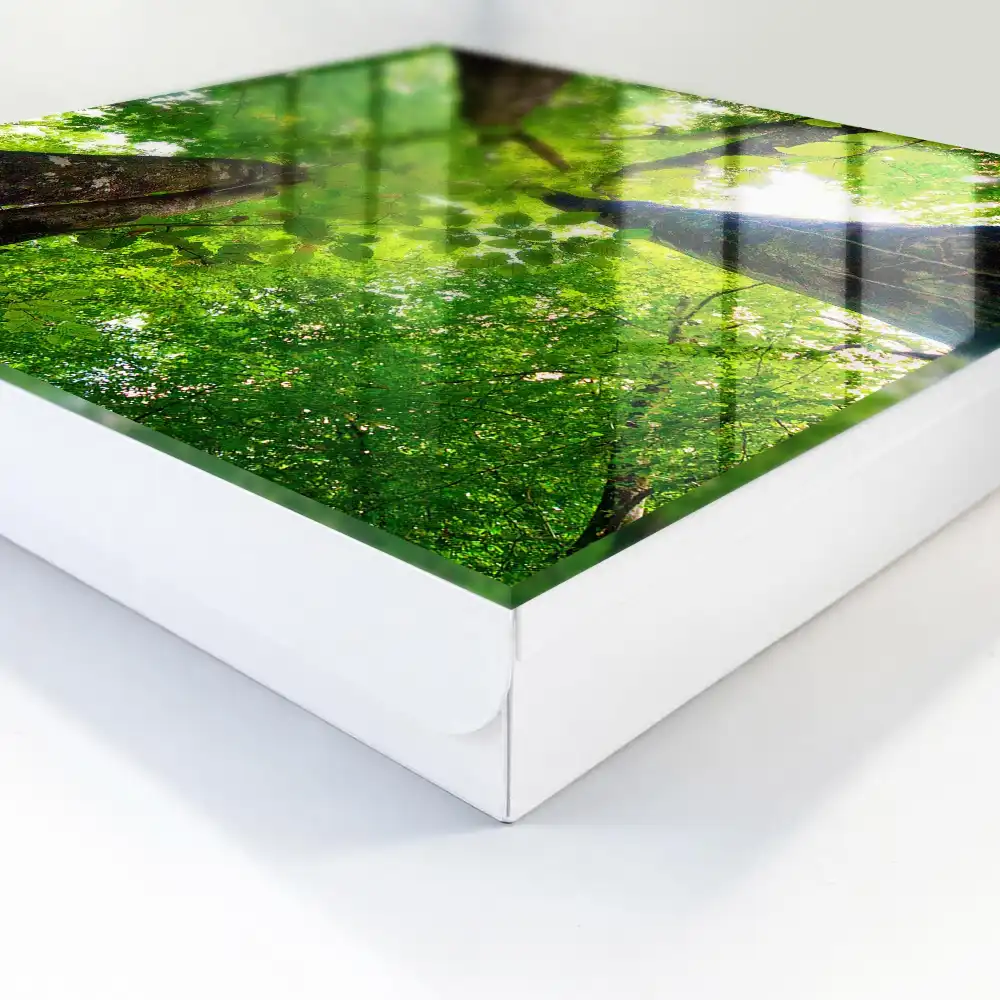 Casetă pentru chei cu design de tufiș verde iluminat