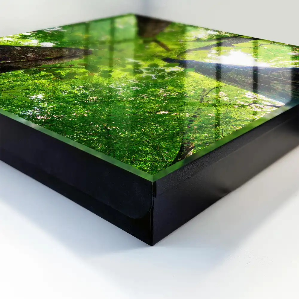Casetă pentru chei cu design de tufiș verde iluminat