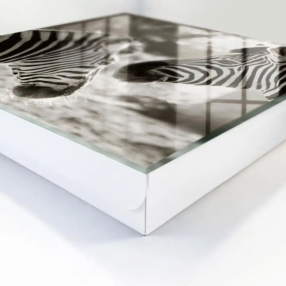 Suport de perete pentru chei cu design zebre alb-negru