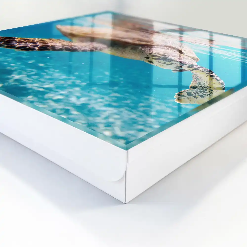 Casetă pentru chei în formă de țestoasă cu model oceanic albastru