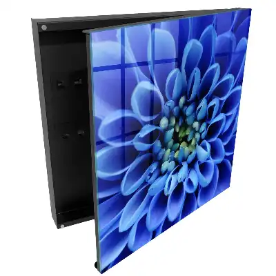 Cutie de chei pentru perete cu model floral albastru dispus în spirală