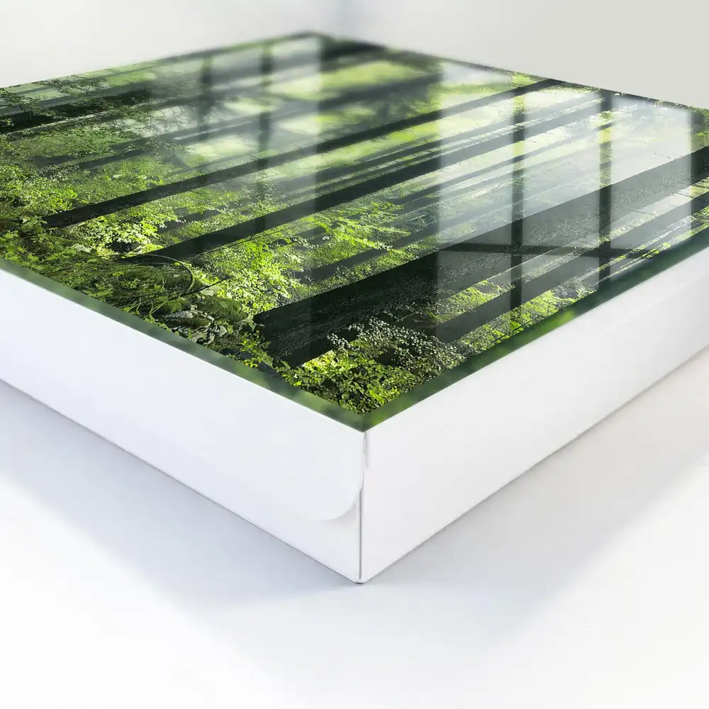 Casetă pentru chei cu design de pădure cețoasă, soare și verdeață