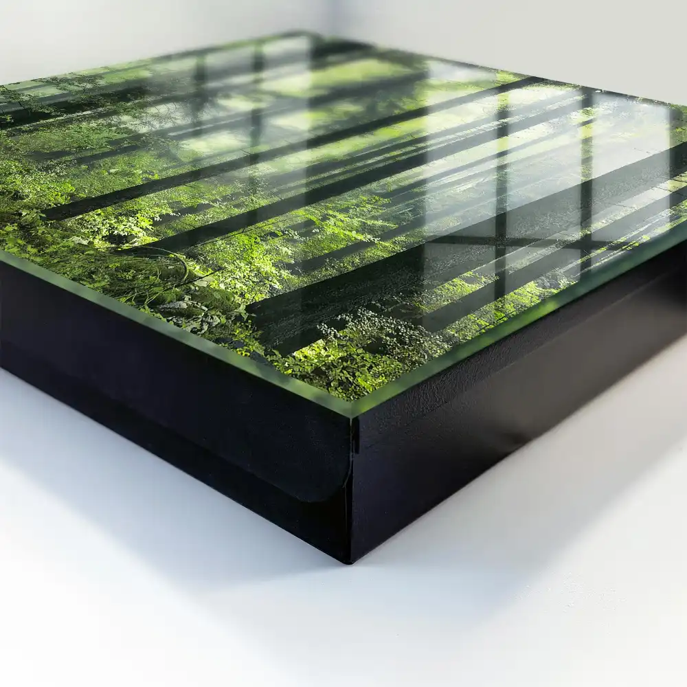 Casetă pentru chei cu design de pădure cețoasă, soare și verdeață