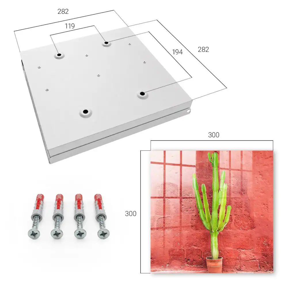 Casetă pentru chei Cactus verde