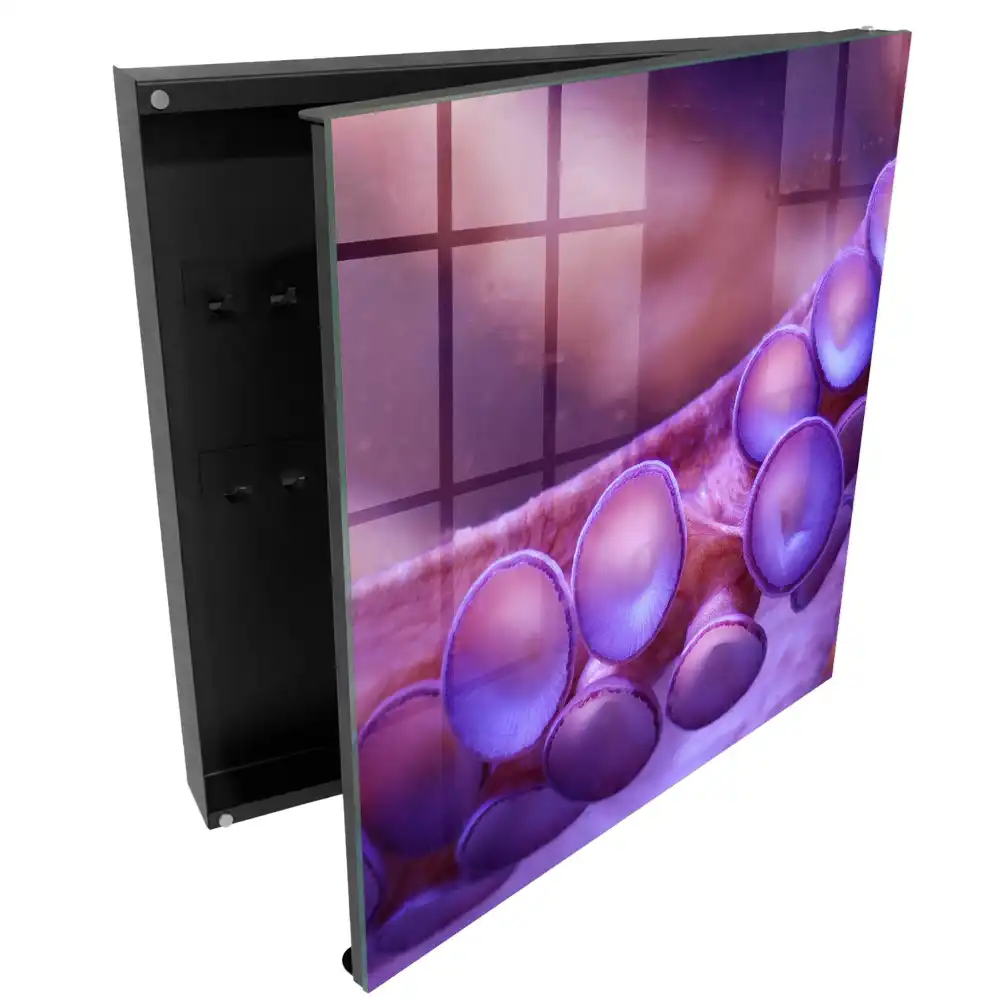 Dulapior pentru chei violet cu design misterios
