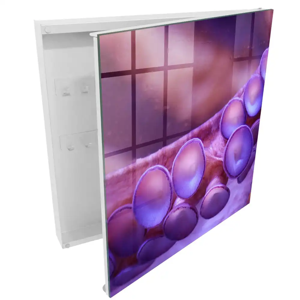 Dulapior pentru chei violet cu design misterios