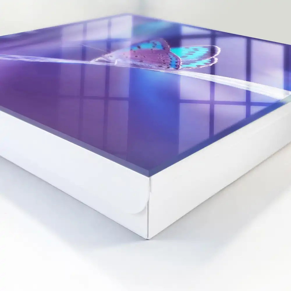 Suport de chei pentru perete cu motiv fluture colorat pe fundal violet
