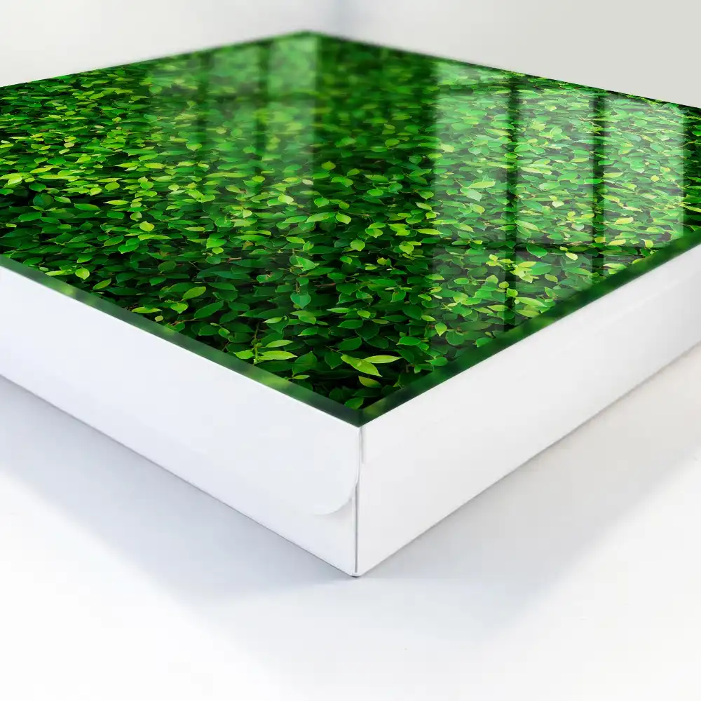 Dulap pentru chei cu design de perete verde cu frunze