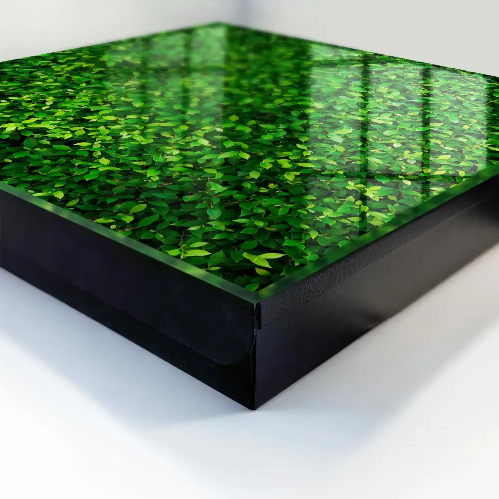 Dulap pentru chei cu design de perete verde cu frunze