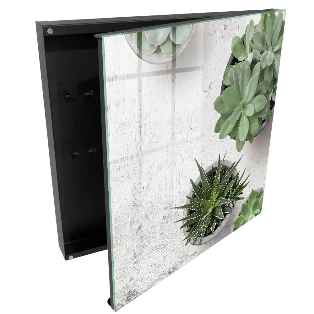 Dulapior pentru chei cu model de plante suculente verzi pe fundal deschis