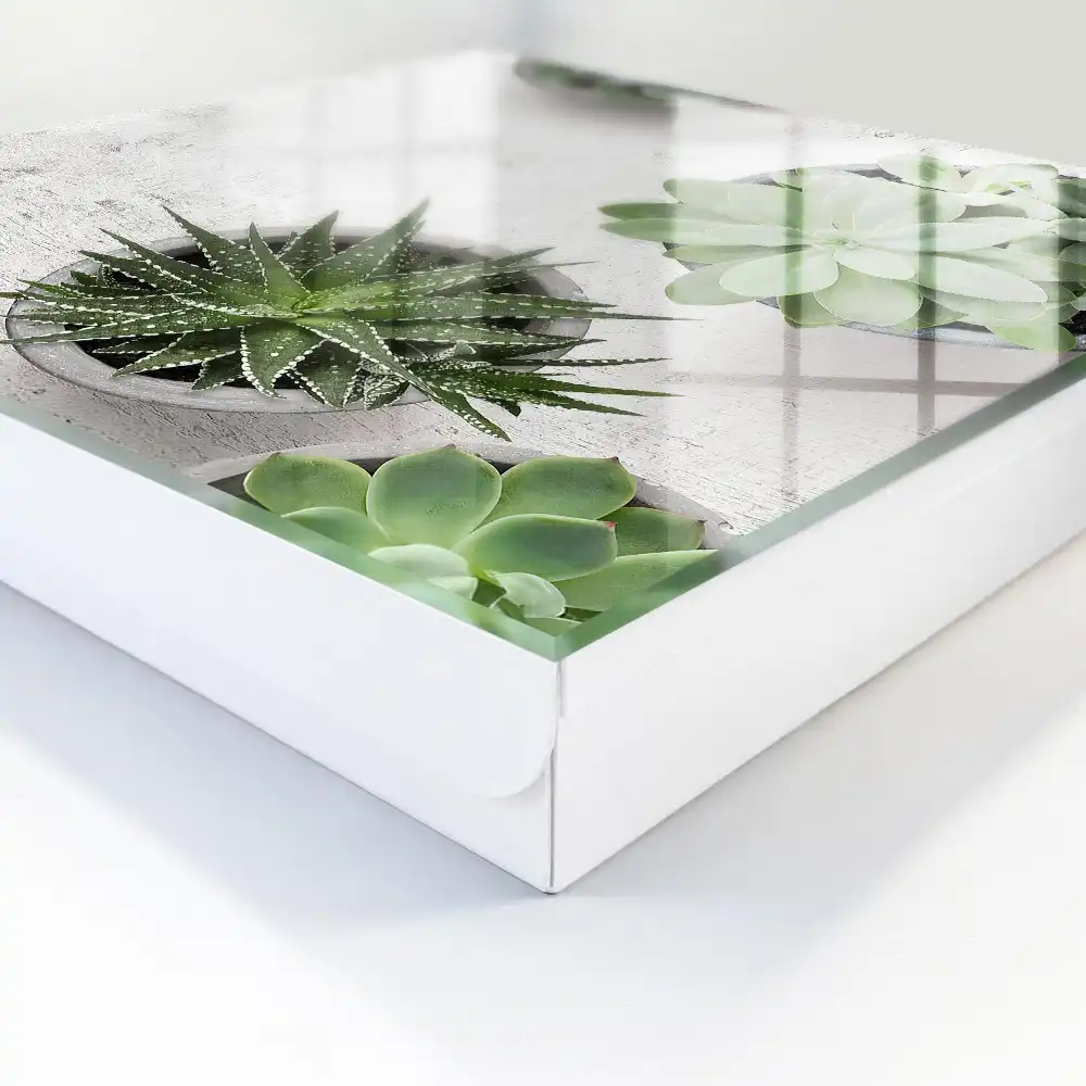 Dulapior pentru chei cu model de plante suculente verzi pe fundal deschis