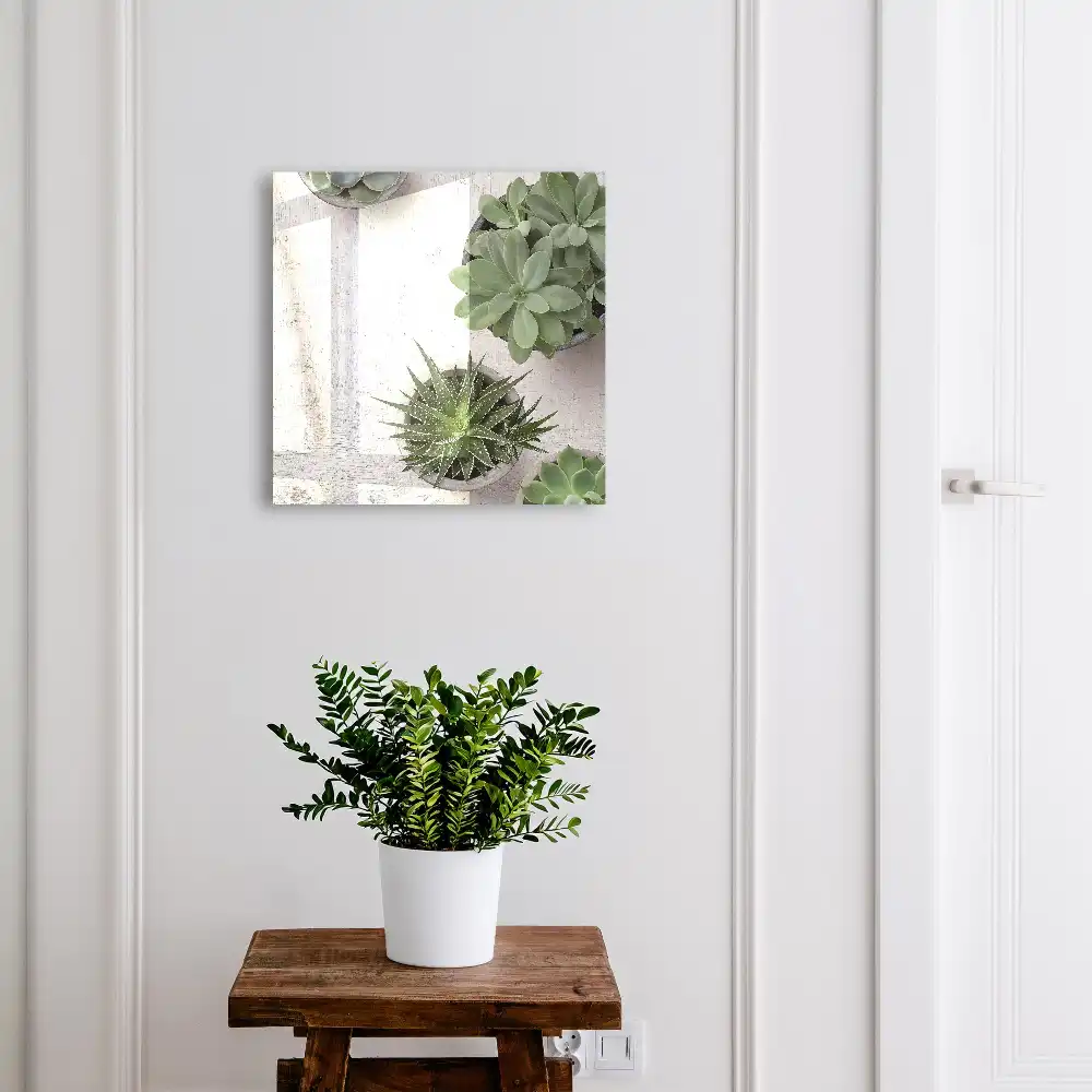 Dulapior pentru chei cu model de plante suculente verzi pe fundal deschis