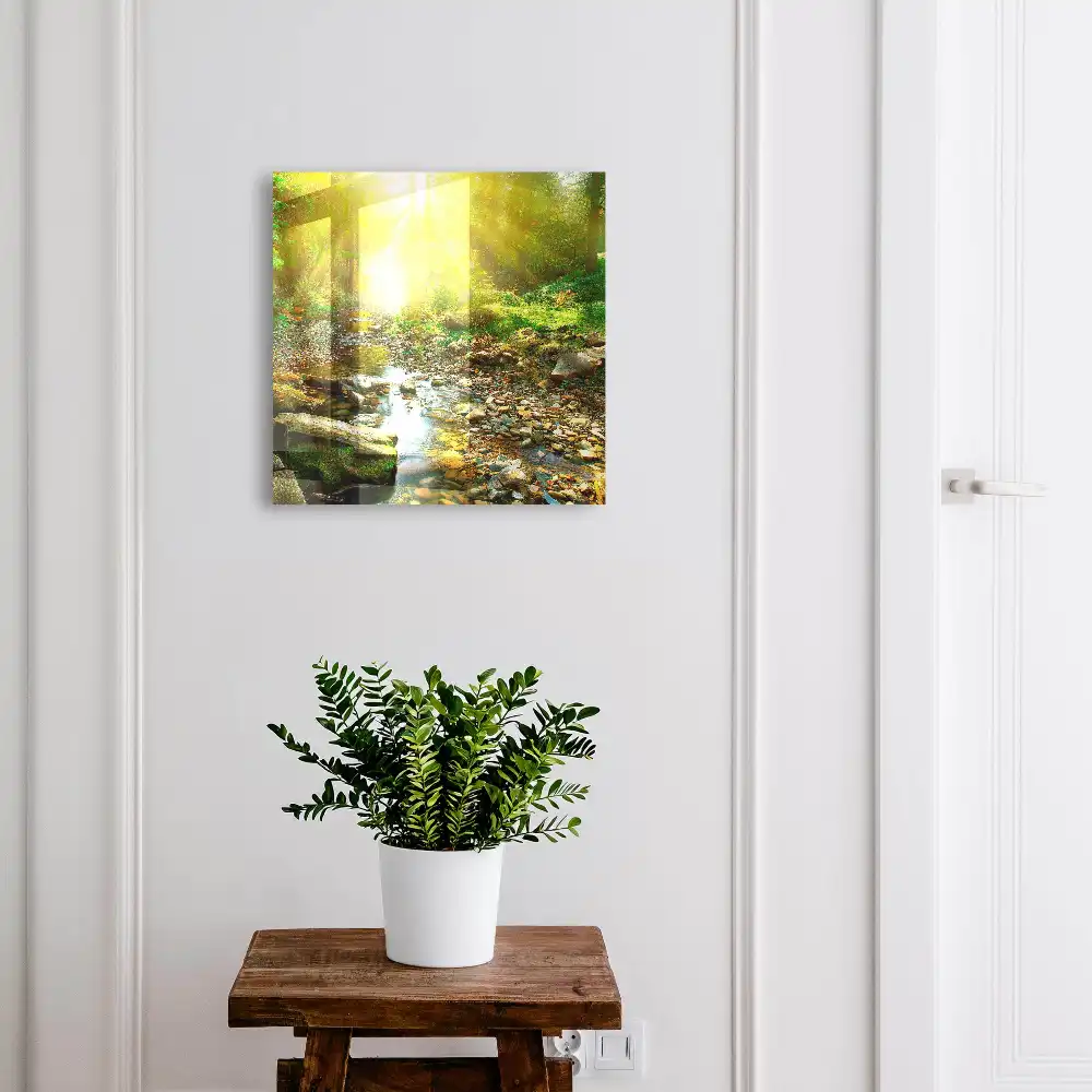 Casetă de chei cu design soare în pădurea de lângă pârâu