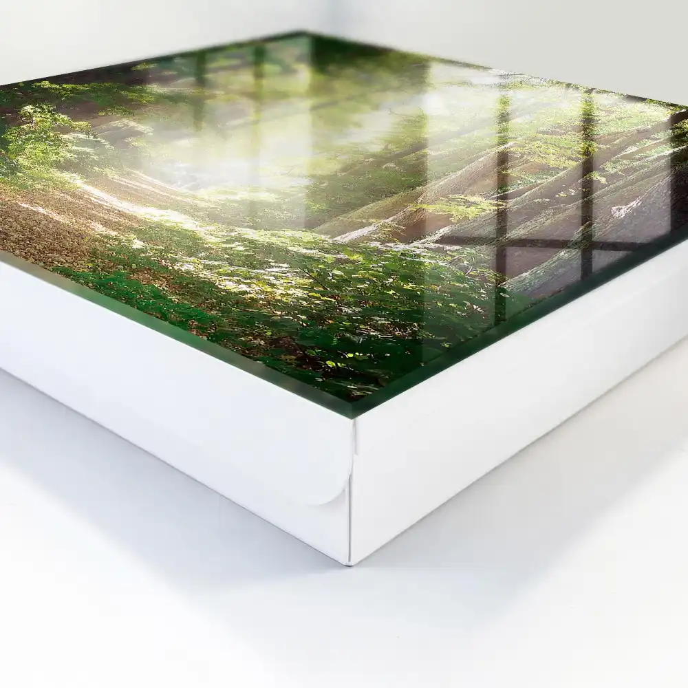 Tablou cu cheie pe potecă de pădure cu copaci verzi în lumină și soare