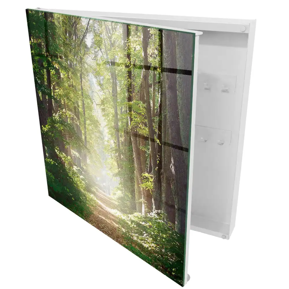 Tablou cu cheie pe potecă de pădure cu copaci verzi în lumină și soare
