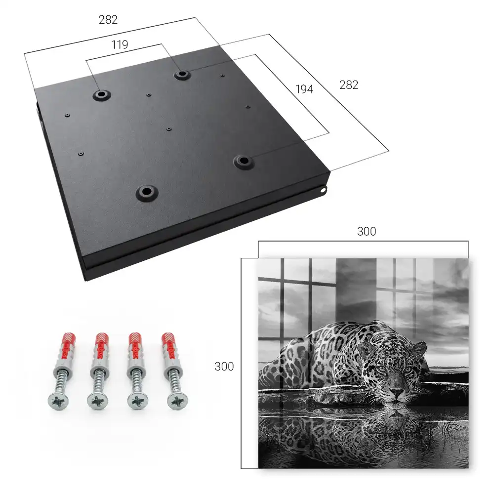 Casetă de chei cu design jaguar deasupra apei contrast alb negru
