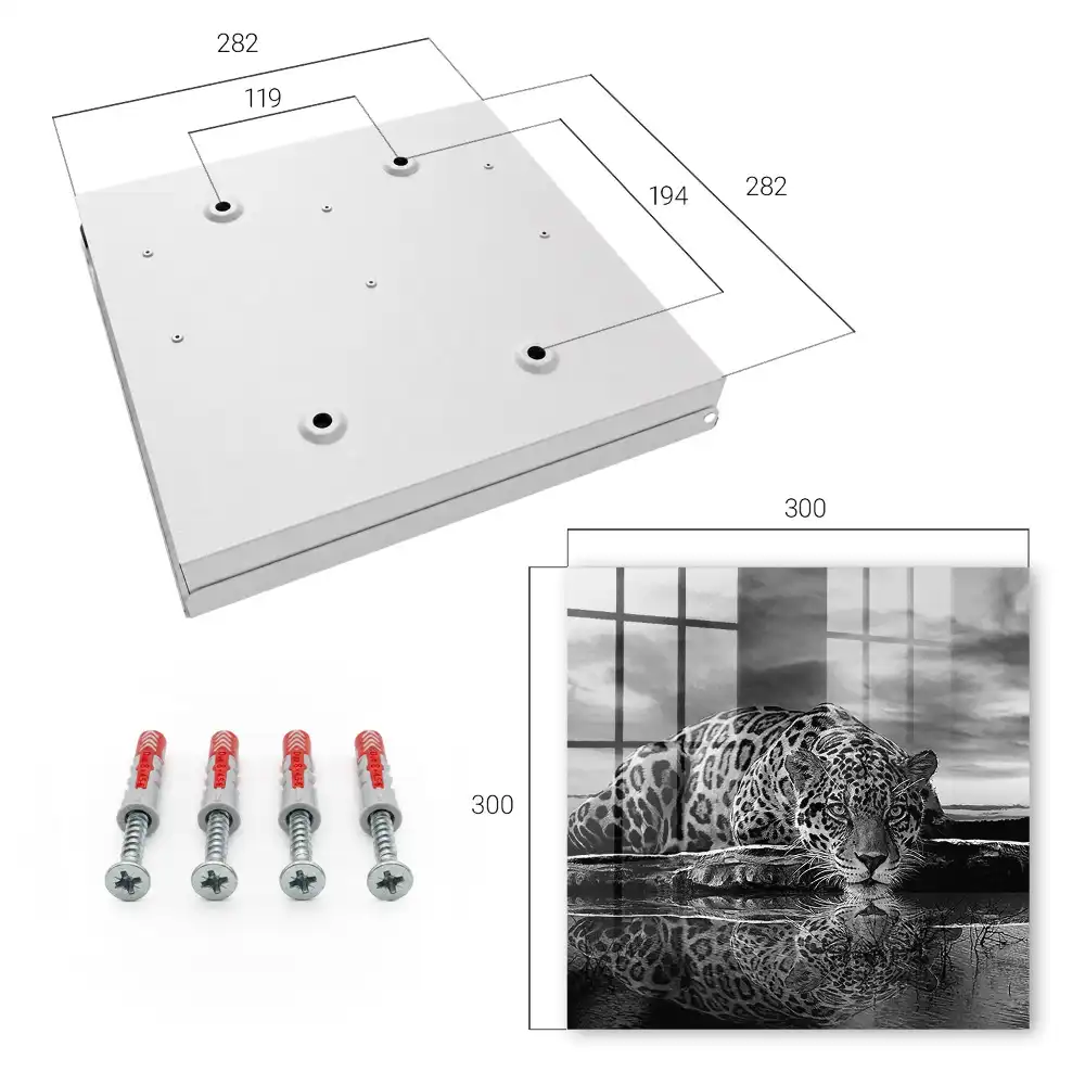Casetă de chei cu design jaguar deasupra apei contrast alb negru