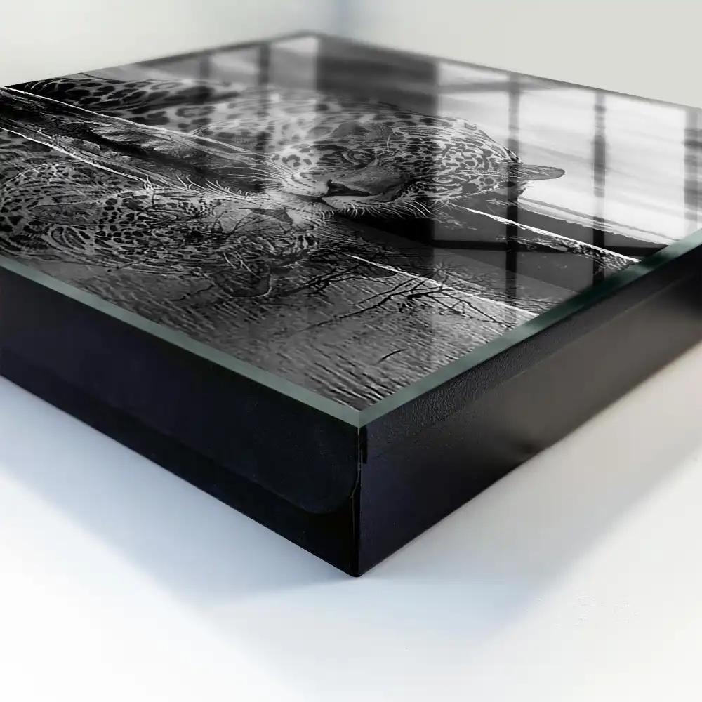 Casetă de chei cu design jaguar deasupra apei contrast alb negru