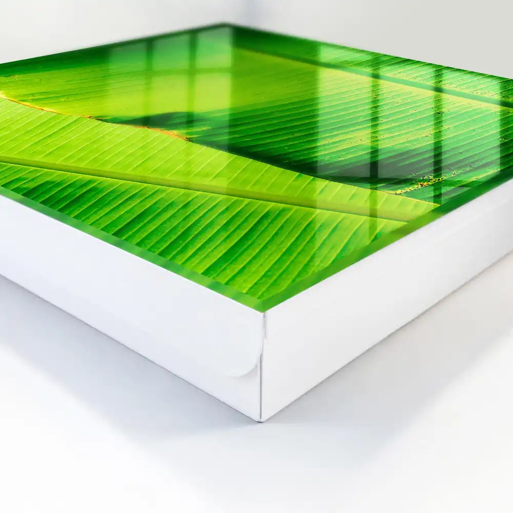 Casetă pentru chei cu design de frunze suculente și linii delicate