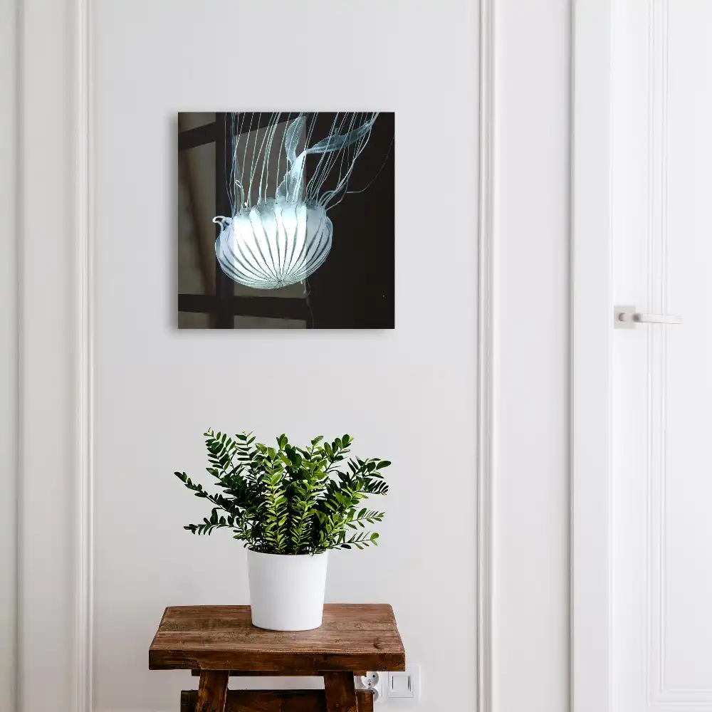 Dulapior pentru chei cu design de meduze pe fundal negru