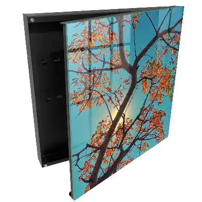 Dulăpior pentru chei cu model cu frunze colorate pe fundal cer albastru