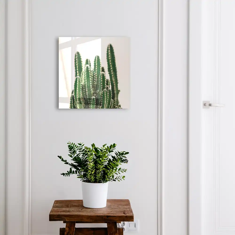 Cuier de perete pentru chei cu model de cactuși pe fundal alb în stil modern