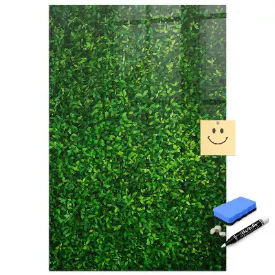 Tablă cu marker design gard viu verde