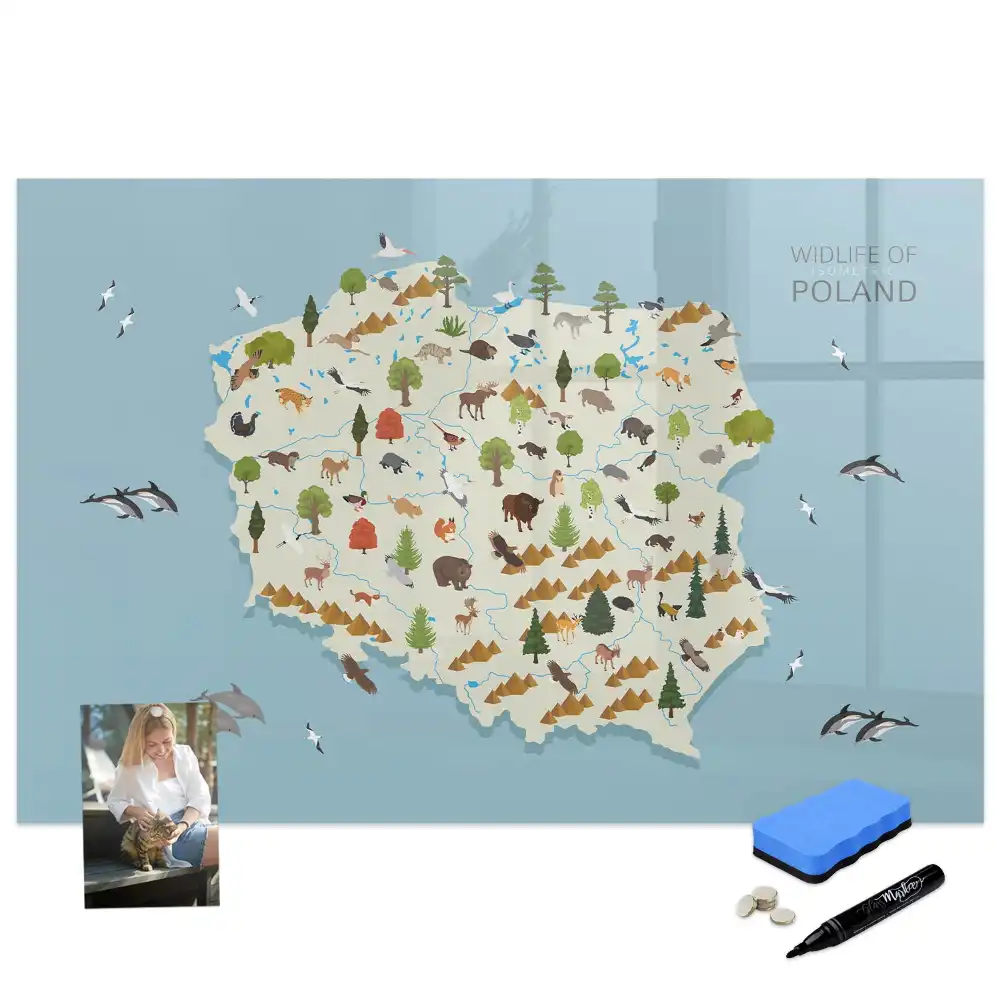 Tablă magnetică cu hartă și animale pentru copii
