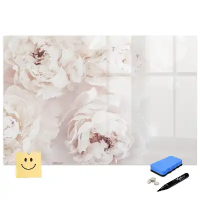 Tablă magnetică cu marker și model cu bujori roz de grădină