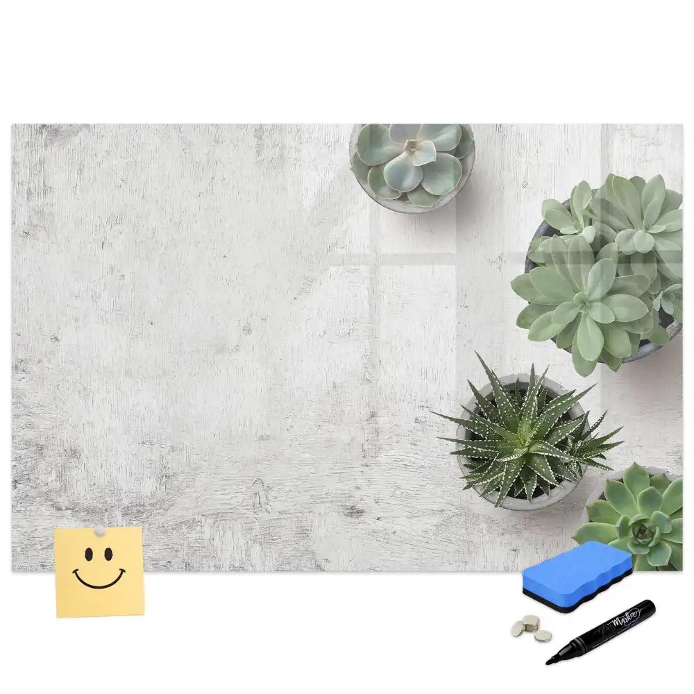 Tablă magnetică pentru magneți decorativi cu plante de cameră
