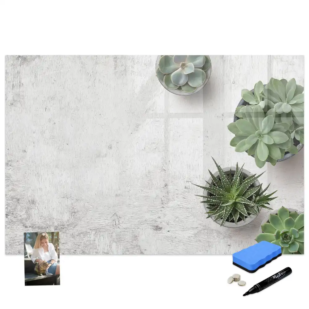 Tablă magnetică pentru magneți decorativi cu plante de cameră