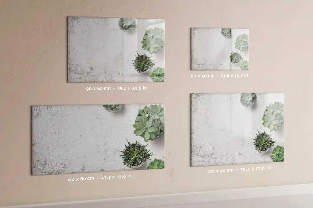 Tablă magnetică pentru magneți decorativi cu plante de cameră