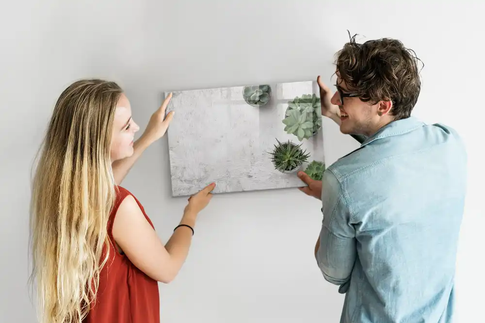 Tablă magnetică pentru magneți decorativi cu plante de cameră