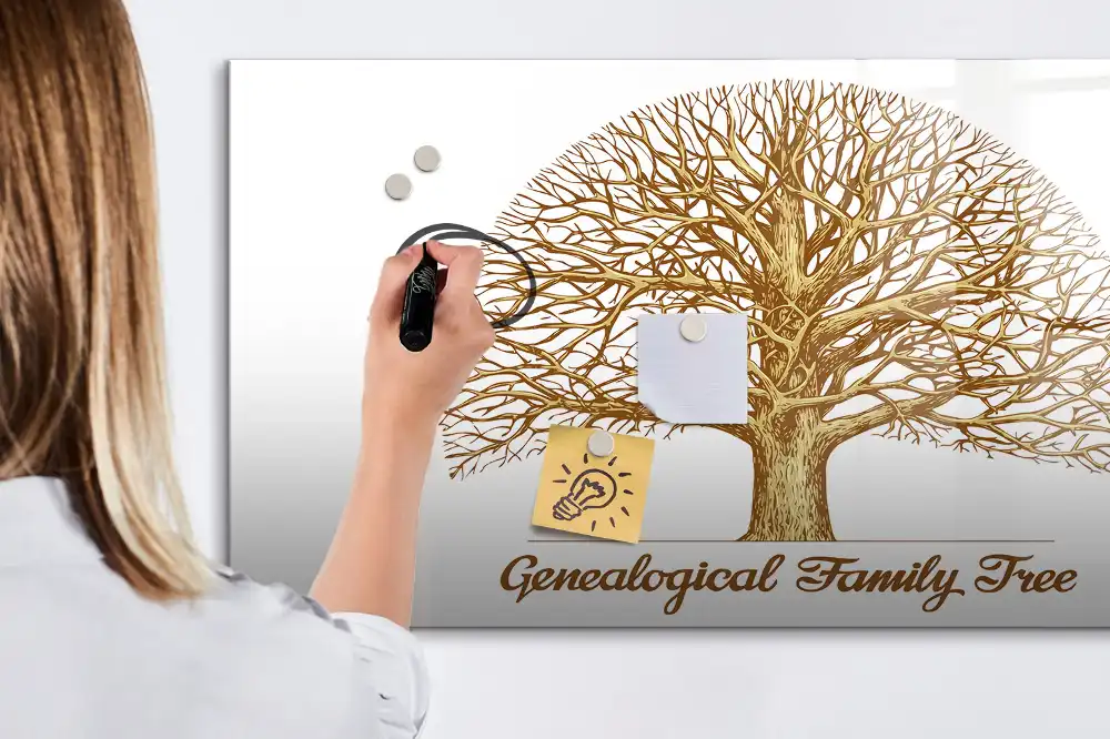 Tablă magnetică pentru arbore genealogic multigenerațional