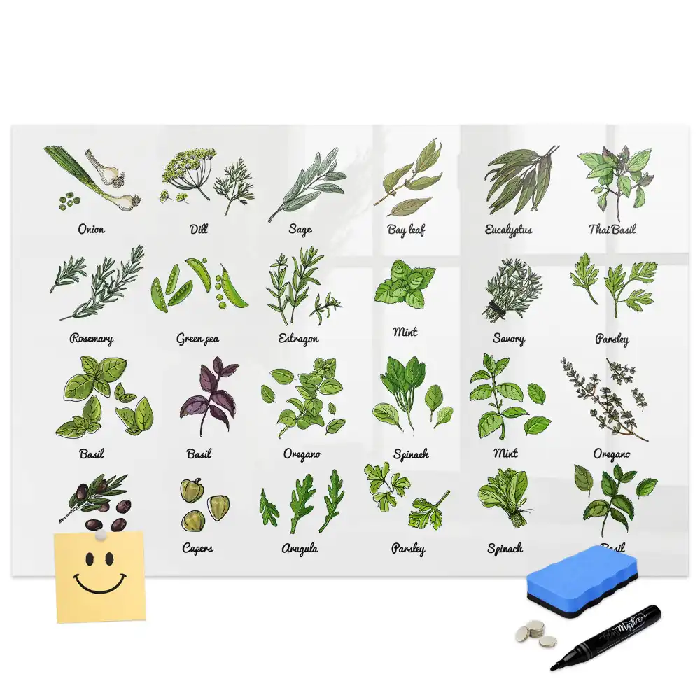 Tablă magnetică cu atlasul speciilor de arbori