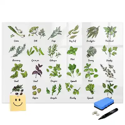 Tablă magnetică cu atlasul speciilor de arbori