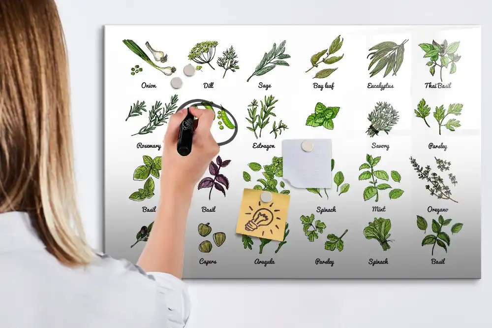Tablă magnetică cu atlasul speciilor de arbori