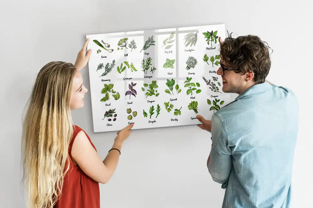 Tablă magnetică cu atlasul speciilor de arbori