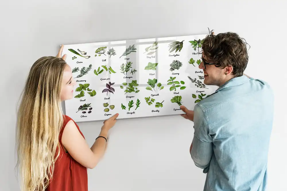 Tablă magnetică cu atlasul speciilor de arbori