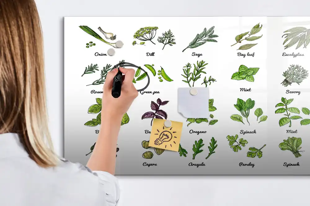 Tablă magnetică cu atlasul speciilor de arbori