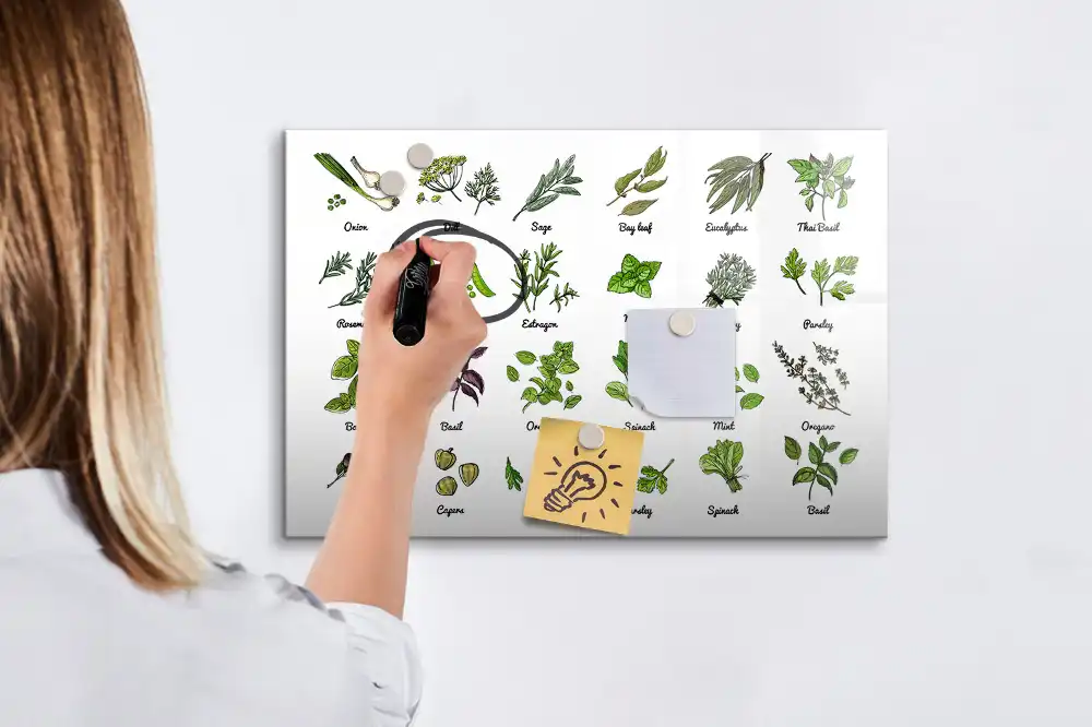 Tablă magnetică cu atlasul speciilor de arbori