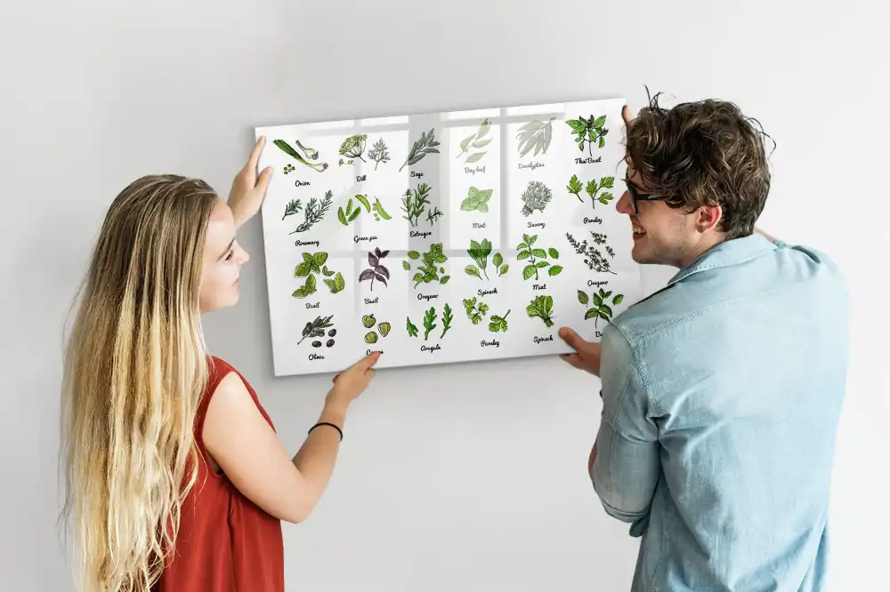 Tablă magnetică cu atlasul speciilor de arbori