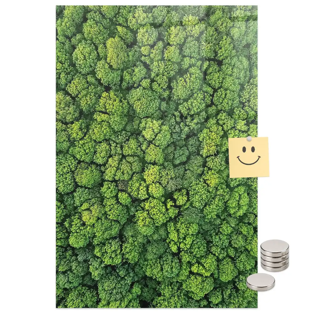 Tablă magnetică de perete cu model copaci de pădure