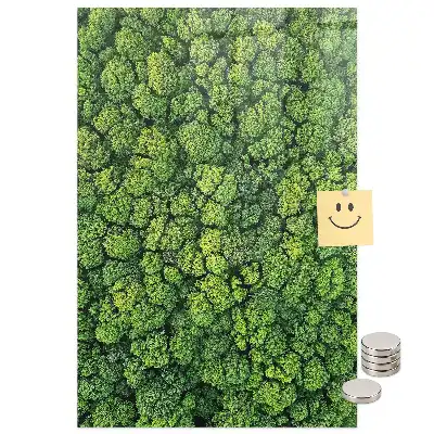 Tablă magnetică de perete cu model copaci de pădure