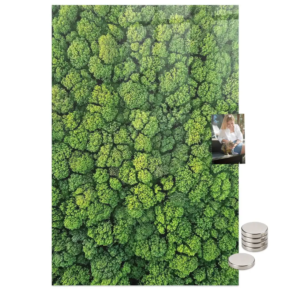 Tablă magnetică de perete cu model copaci de pădure