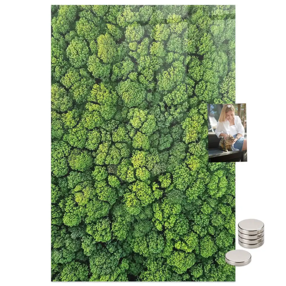 Tablă magnetică de perete cu model copaci de pădure